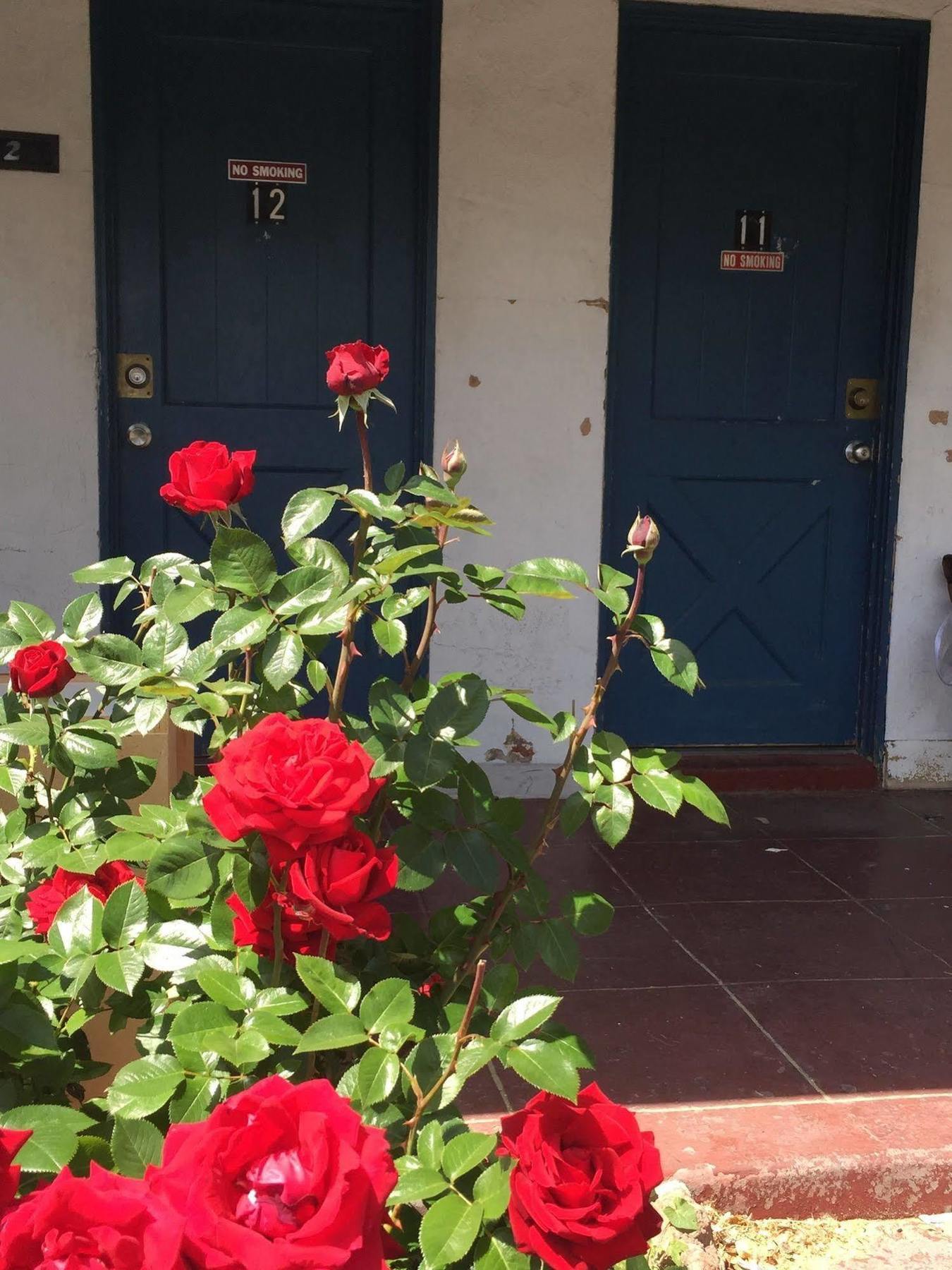 בישופ Townhouse Motel מראה חיצוני תמונה
